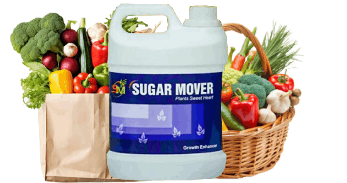 MICRONUTRIENT
                                                FERTILIZERS